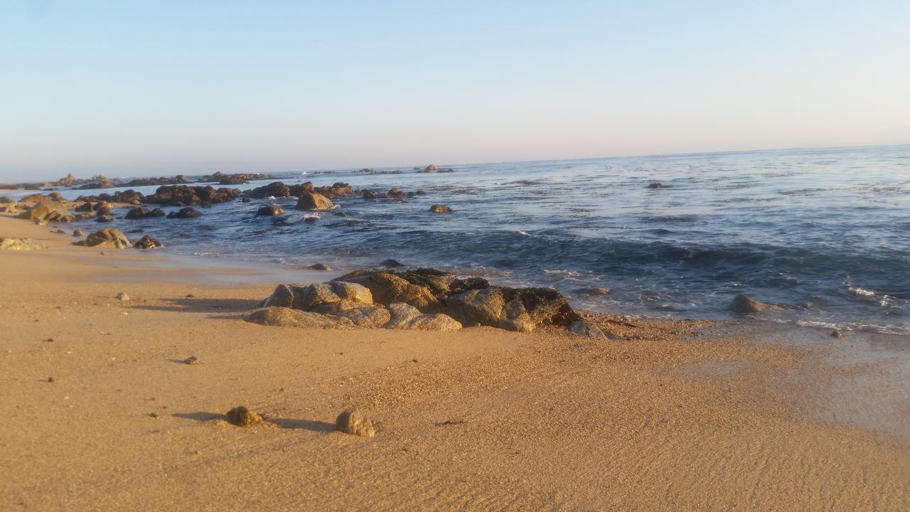 Cabañas Aire Marino Algarrobo Exterior foto