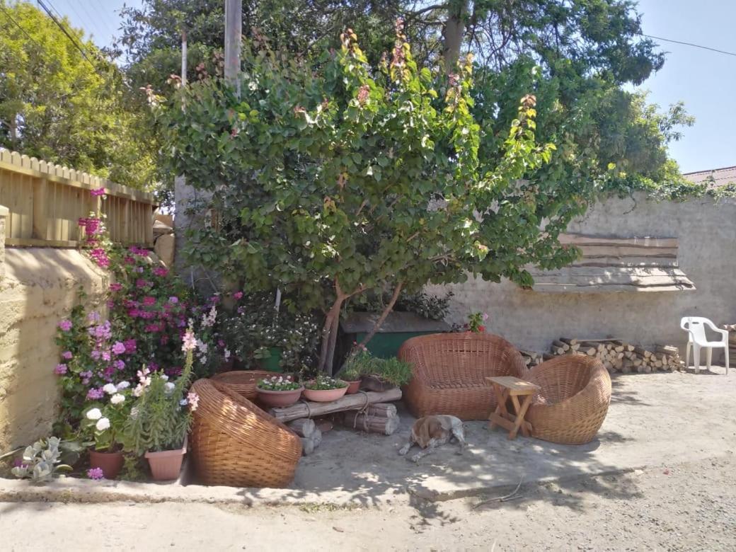 Cabañas Aire Marino Algarrobo Exterior foto